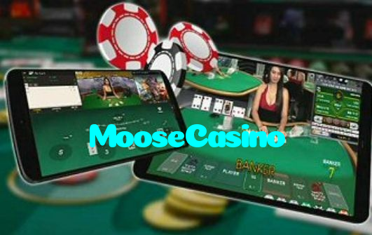 MooseCasino